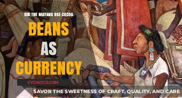 Unveiling the Mayan Civilization's Unique Cocoa Bean Economy