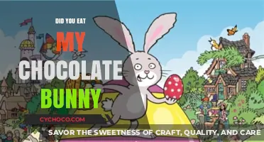 The Mysterious Case of the Missing Chocolate Bunny