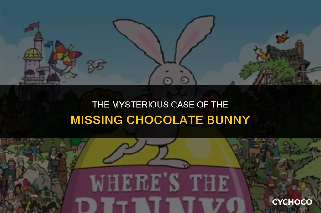 did you eat my chocolate bunny