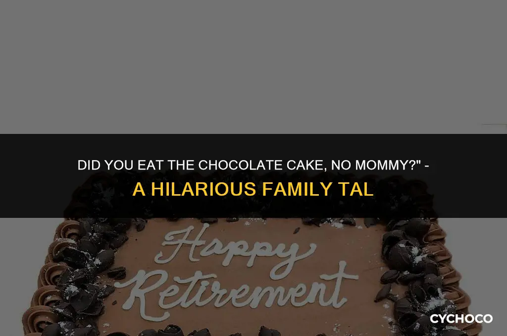 did you eat the chocolate cake no mommy