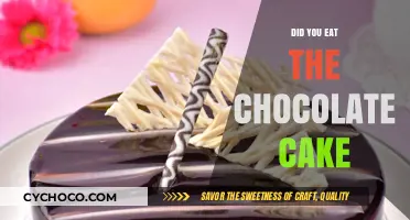 Did You Eat the Chocolate Cake? A Mystery Unfolds