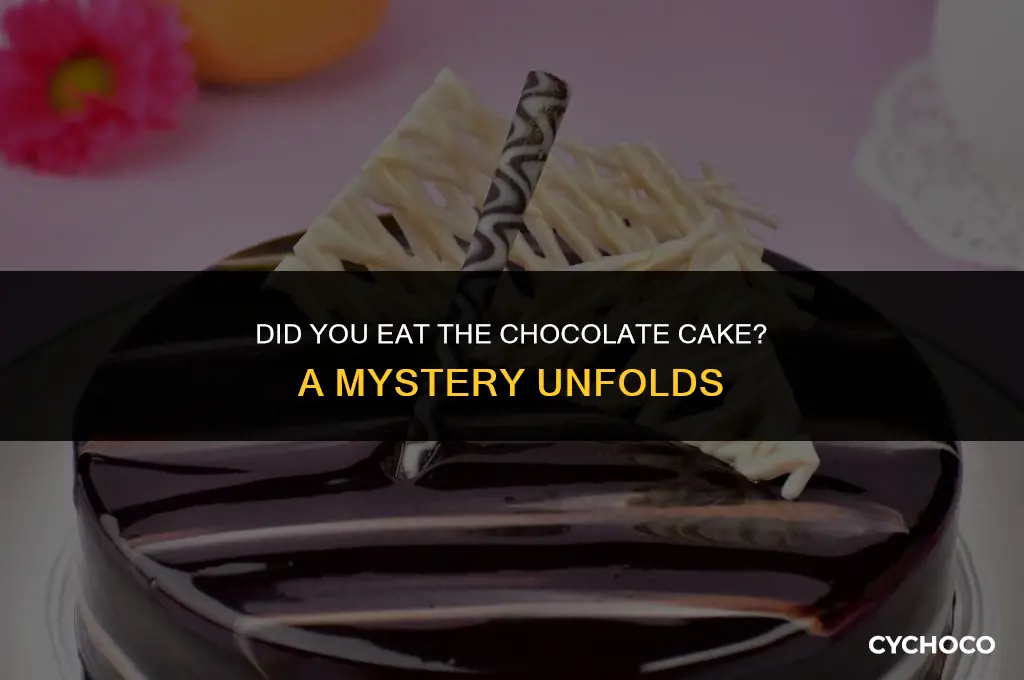 did you eat the chocolate cake