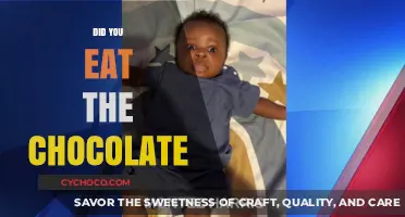 The Mysterious Case of the Missing Chocolate: A Sweet Investigation