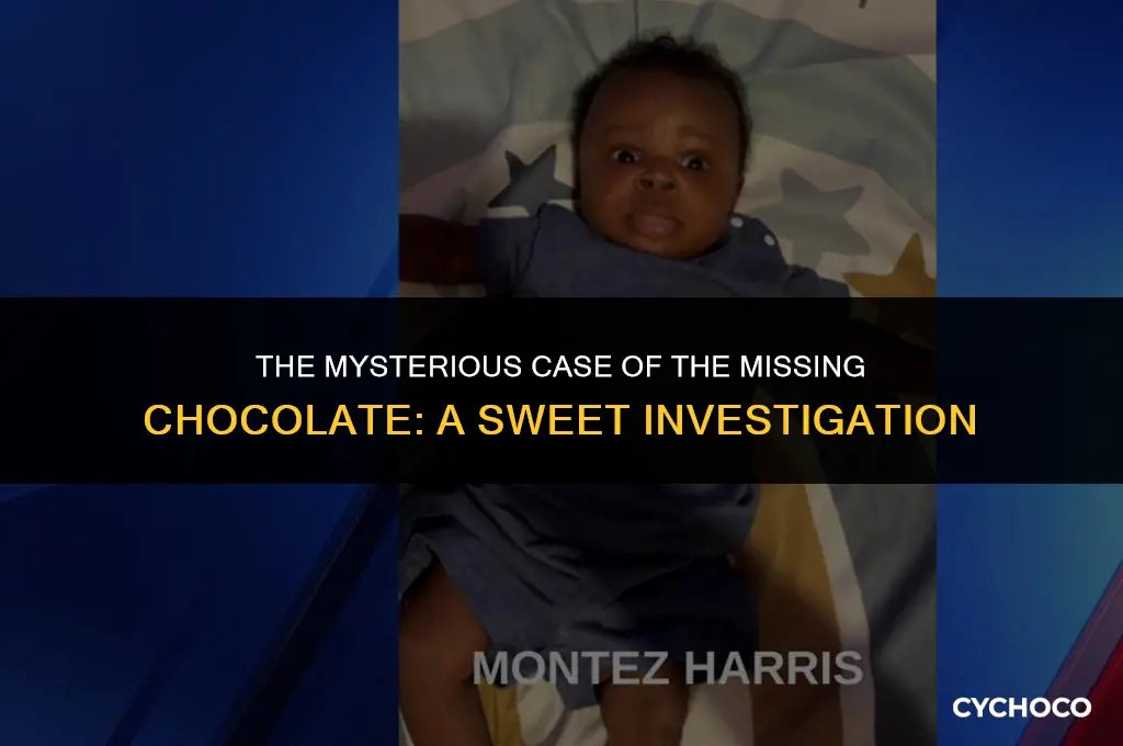 did you eat the chocolate