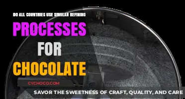 Global Chocolate Refining: Do Countries Share Similar Processing Methods?