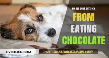 The Truth About Chocolate and Dogs: Not All Canines Are Equally Affected