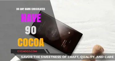 Exploring the Richness: Dark Chocolates with 90% Cocoa Content