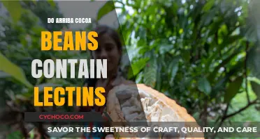 Exploring Lectin Presence in Arriba Cocoa Beans: A Health Perspective