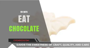 Sweet Myths Debunked: Do Bats Really Crave Chocolate?