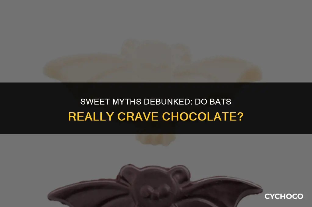 do bats eat chocolate