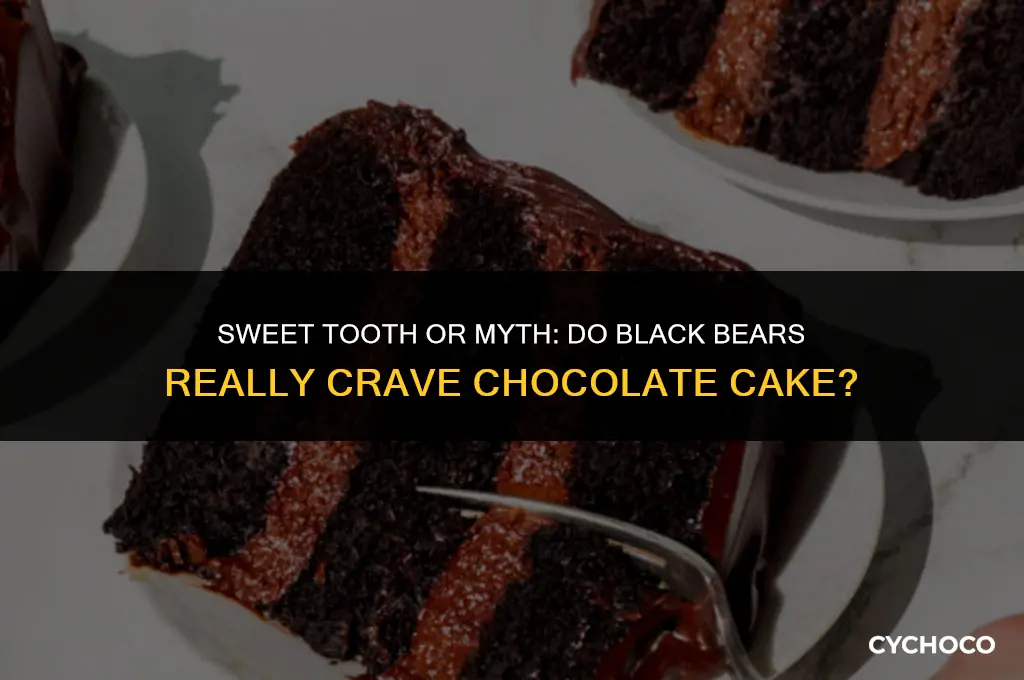 do black bears like chocolate cake