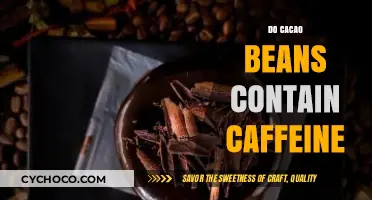 Cacao Beans and Caffeine: Unveiling the Natural Energy Boost