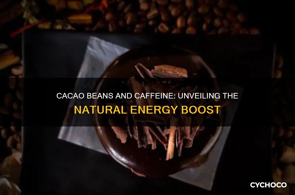 do cacao beans contain caffeine