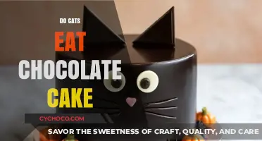 Sweet Temptations: Can Cats Resist the Allure of Chocolate Cake?