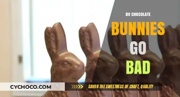 The Shelf Life of Chocolate Bunnies: Do They Go Bad?