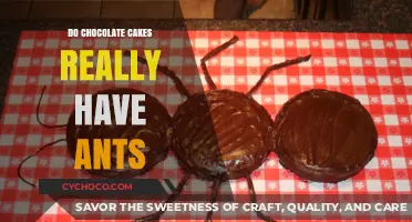 The Sweet Truth: Do Chocolate Cakes Really Attract Ants?