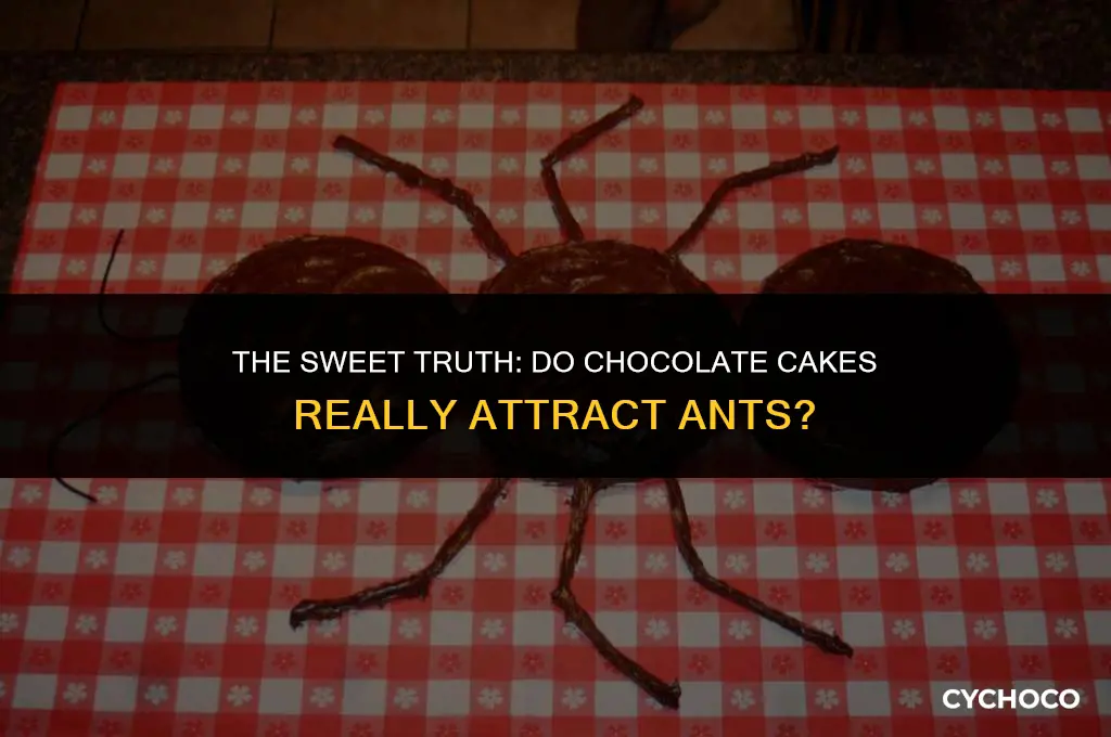 do chocolate cakes really have ants