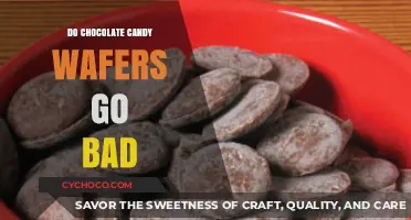 The Shelf Life Saga: Do Chocolate Candy Wafers Go Bad?