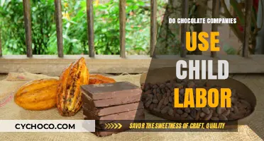 The Dark Side of Chocolate: Child Labor in the Industry