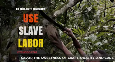 Unsweetened Truth: Slave Labor in the Chocolate Industry Exposed