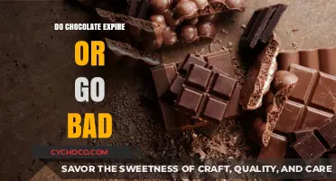 The Sweet Shelf Life: Do Chocolates Expire or Go Bad?