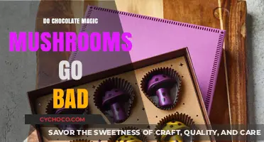 Do Chocolate Magic Mushrooms Expire? A Guide to Shelf Life and Storage