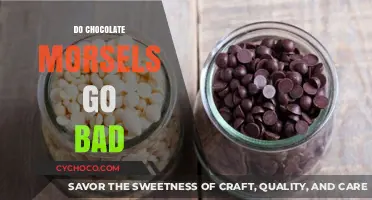 The Shelf Life of Chocolate Morsels: Do They Really Go Bad?