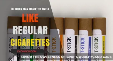 Unveiling the Aroma: Cocoa Bean Cigarettes vs. Regular Cigarettes