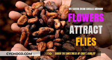 Cocoa Bean Shells as Natural Fly Traps: Myth or Reality?