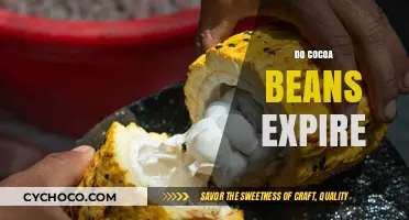 The Shelf Life of Cocoa Beans: Do They Really Expire?