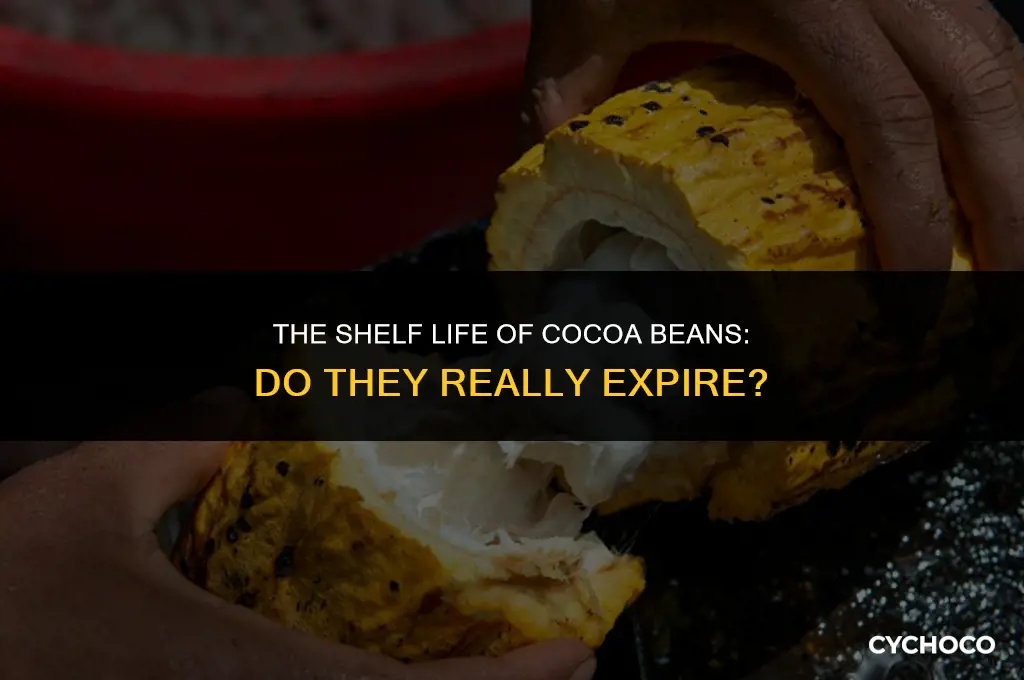 do cocoa beans expire
