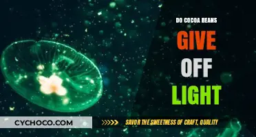 Unveiling the Luminous Mystery: Do Cocoa Beans Emit Light?