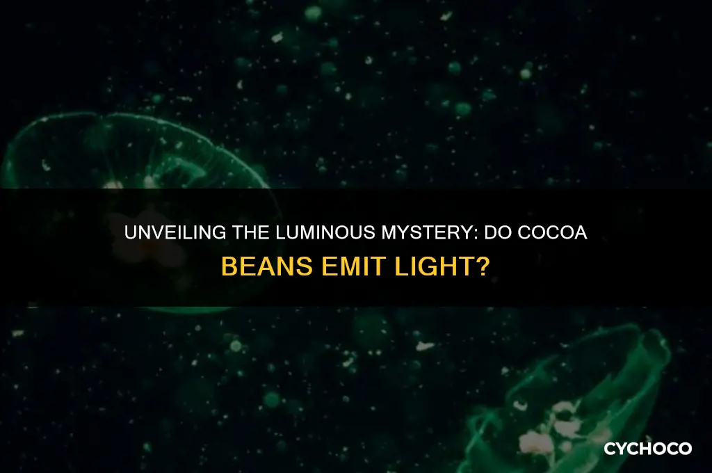 do cocoa beans give off light