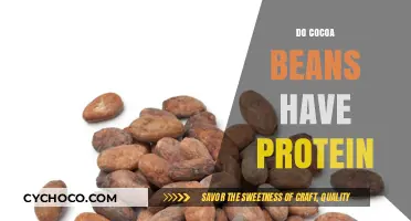 Exploring the Nutritional Benefits: Do Cocoa Beans Contain Protein?
