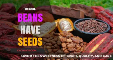 Exploring the Hidden Seeds Within Cocoa Beans: A Chocolate Lover's Guide