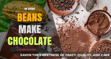 From Bean to Bar: The Chocolate-Making Journey of Cocoa Beans