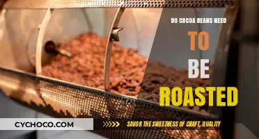 The Essential Guide to Cocoa Beans: Roasting Unveiled