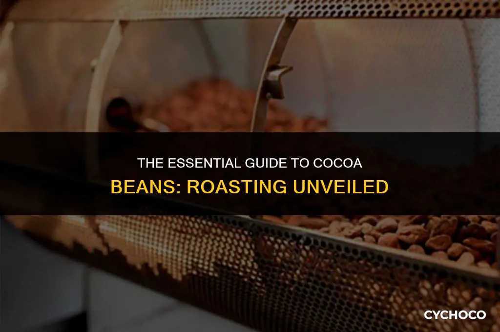 do cocoa beans need to be roasted