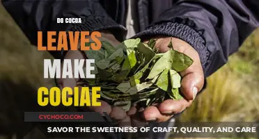 Exploring the Myth: Do Cocoa Leaves Really Make Cocaine?