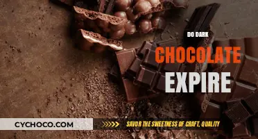 The Shelf Life of Dark Chocolate: Does It Really Expire?