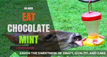 Sweet or Toxic? Exploring Deer's Chocolate Mint Cravings