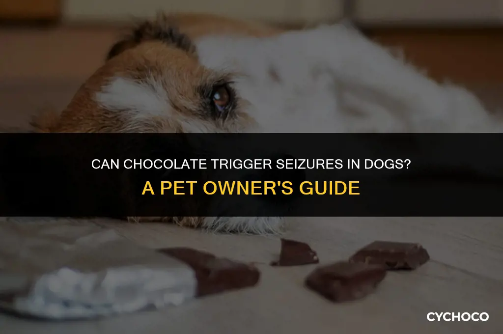 do dogs get seazures from eating chocolate