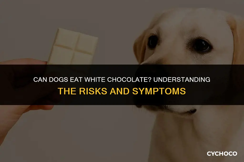 do dogs get sick from white chocolate