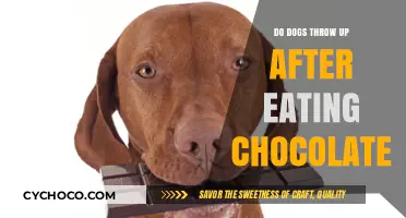 The Dark Side of Chocolate: Why Dogs Should Avoid It