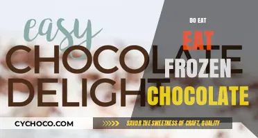 Indulge in the Sweet Convenience: Eating Frozen Chocolate