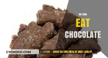 Sweet Treats for Swimmers: Do Fish Indulge in Chocolate?