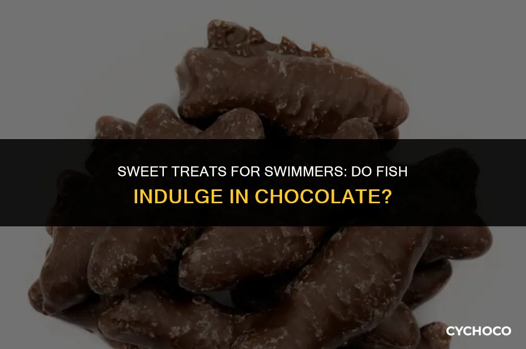 do fish eat chocolate