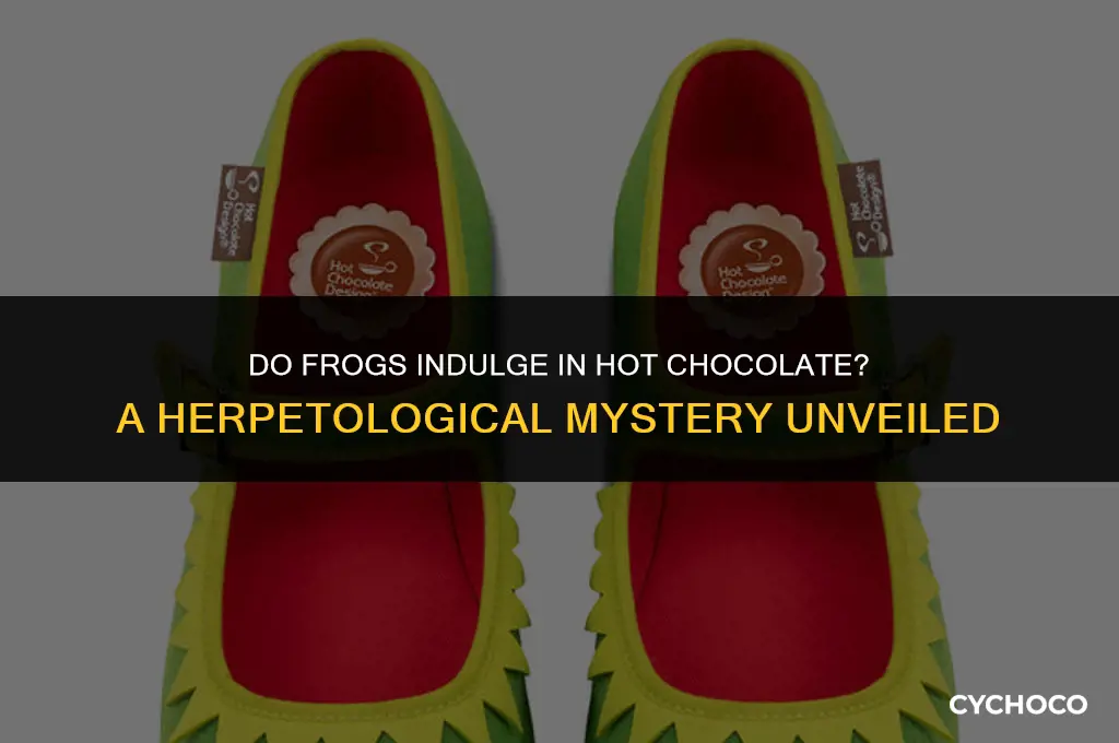 do frogs drink hot chocolate