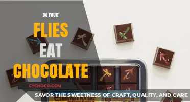 Sweet Temptations: Do Fruit Flies Indulge in Chocolate Delights?