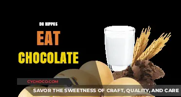 Sweet Cravings: Do Hippos Really Indulge in Chocolate?